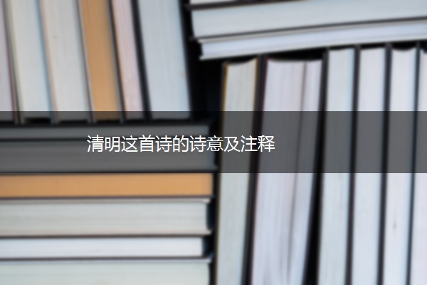 清明这首诗的诗意及注释