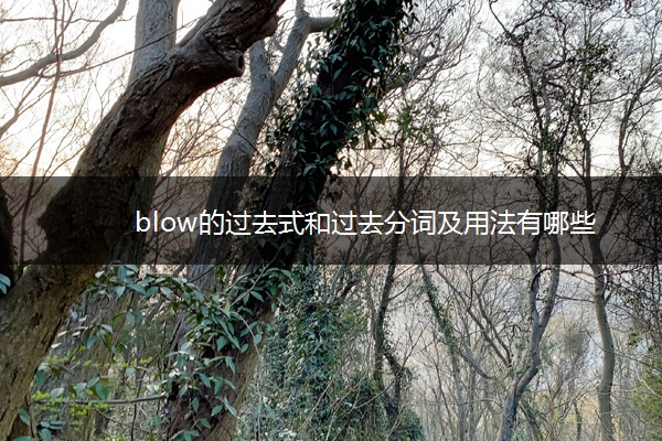 blow的过去式和过去分词及用法有哪些