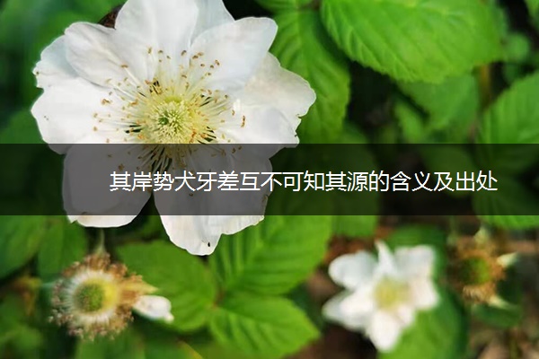 其岸势犬牙差互不可知其源的含义及出处