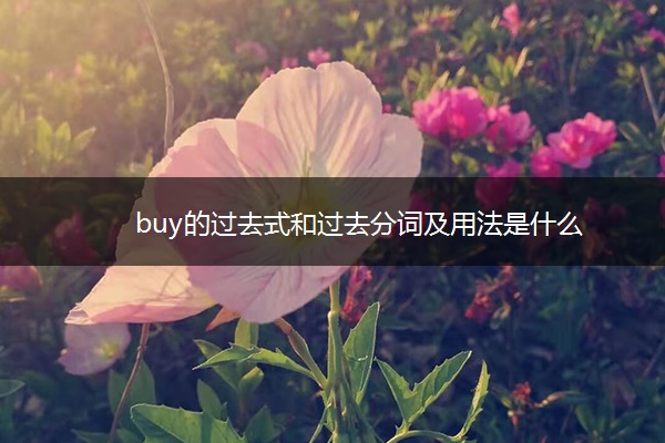 buy的过去式和过去分词及用法是什么