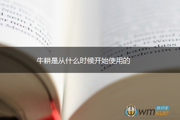 牛耕是从什么时候开始使用的