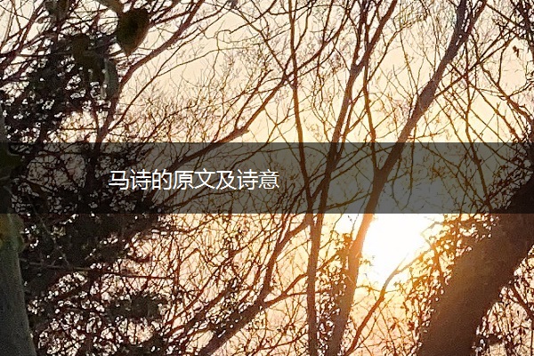 马诗的原文及诗意
