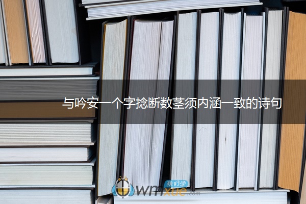 与吟安一个字捻断数茎须内涵一致的诗句