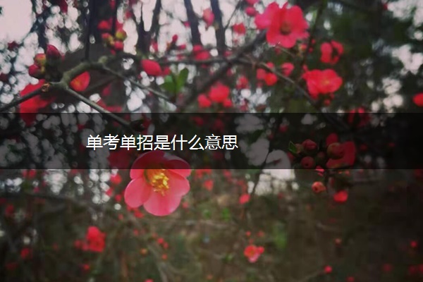 单考单招是什么意思