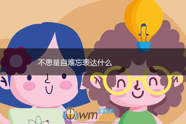 不思量自难忘表达什么