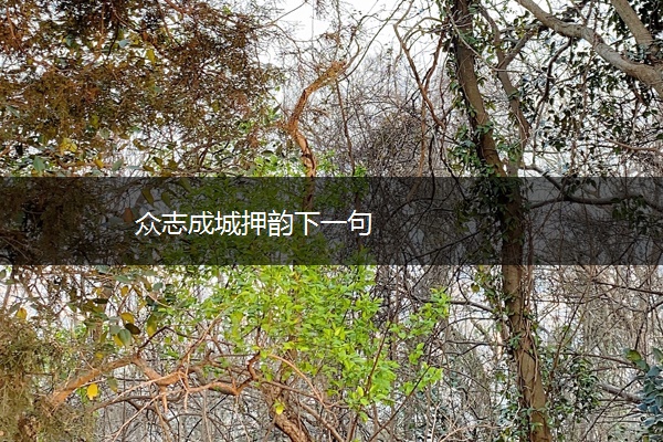 众志成城押韵下一句