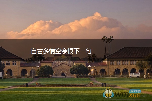 自古多情空余恨下一句