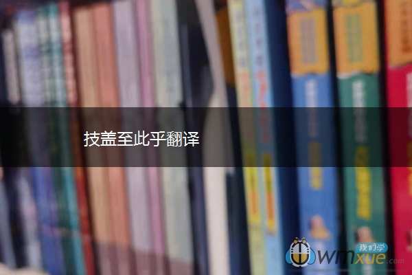 技盖至此乎翻译