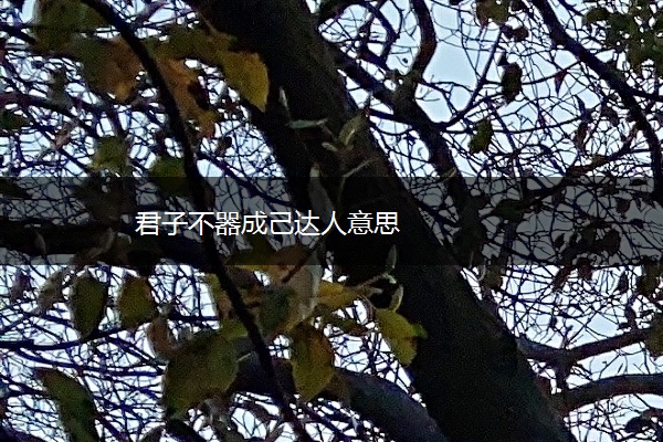 君子不器成己达人意思
