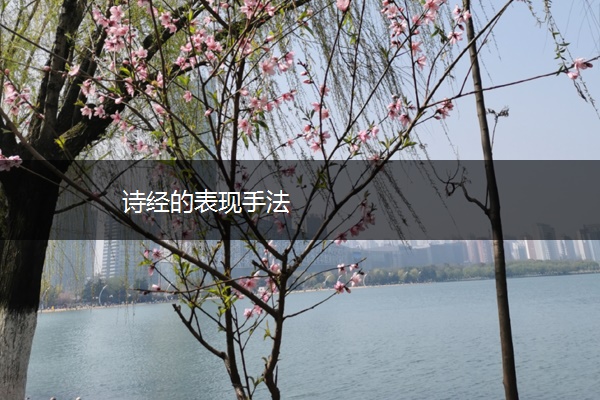 诗经的表现手法