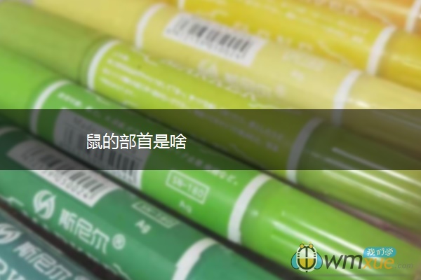 鼠的部首是啥