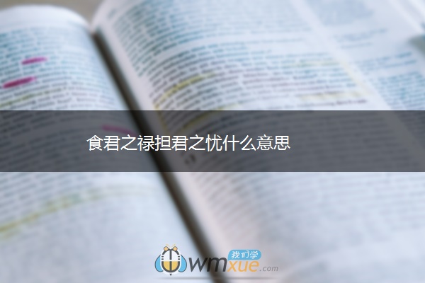 食君之禄担君之忧什么意思