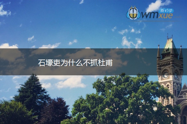 石壕吏为什么不抓杜甫