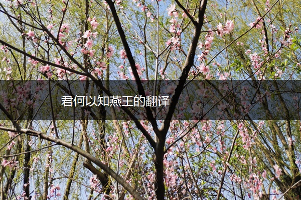 君何以知燕王的翻译