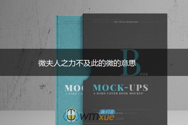 微夫人之力不及此的微的意思