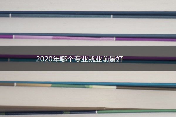 2020年哪个专业就业前景好