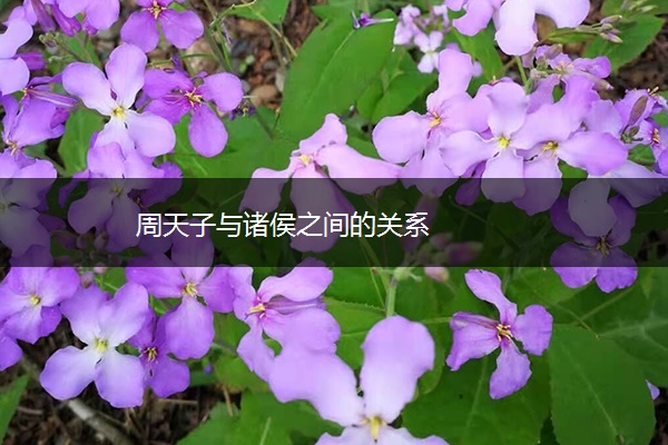 周天子与诸侯之间的关系