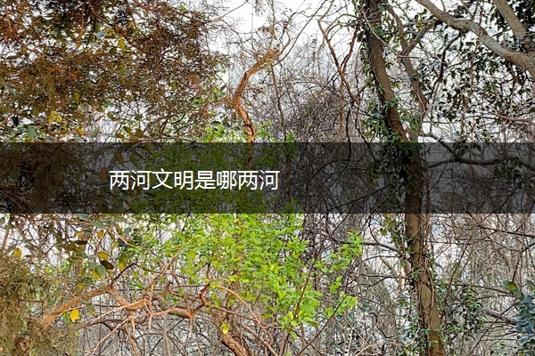 两河文明是哪两河