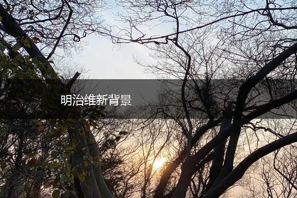 明治维新背景
