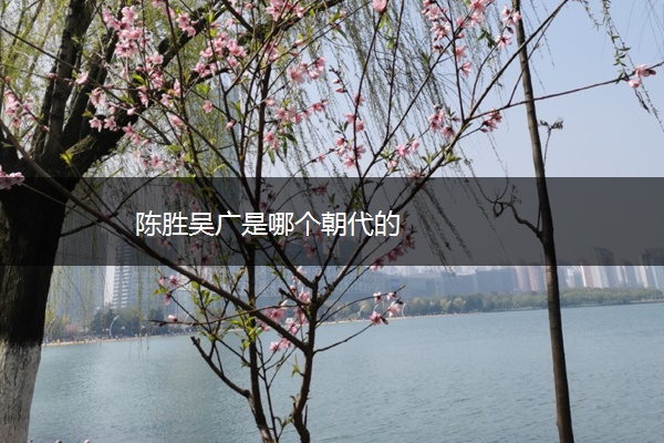 陈胜吴广是哪个朝代的