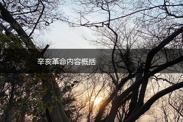 辛亥革命内容概括