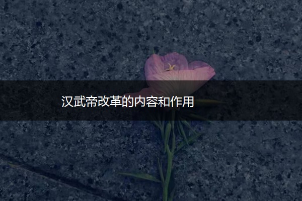 汉武帝改革的内容和作用