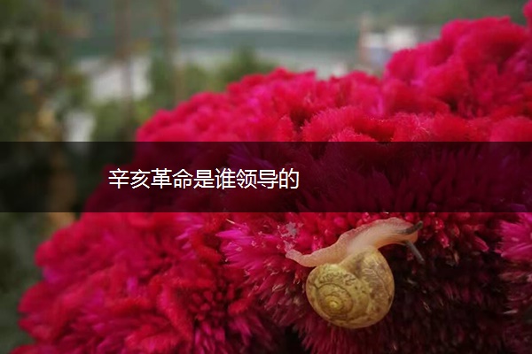 辛亥革命是谁领导的