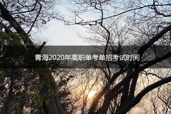 青海2020年高职单考单招考试时间