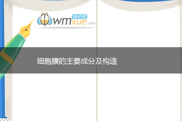 细胞膜的主要成分及构造