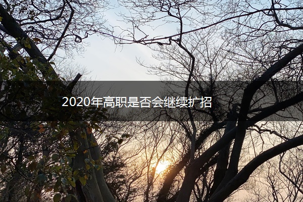 2020年高职是否会继续扩招