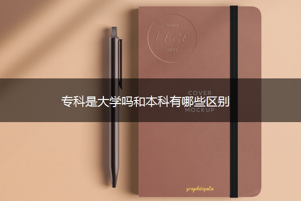 专科是大学吗和本科有哪些区别