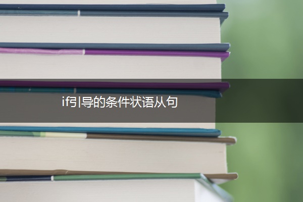 if引导的条件状语从句