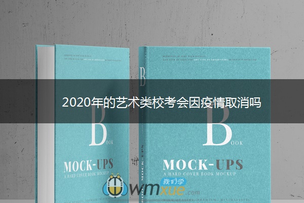 2020年的艺术类校考会因疫情取消吗