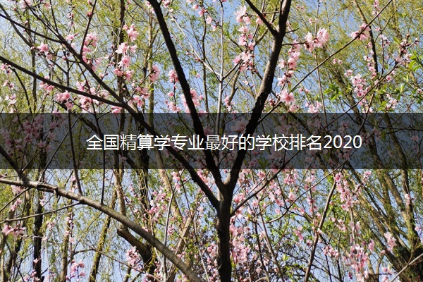 全国精算学专业最好的学校排名2020