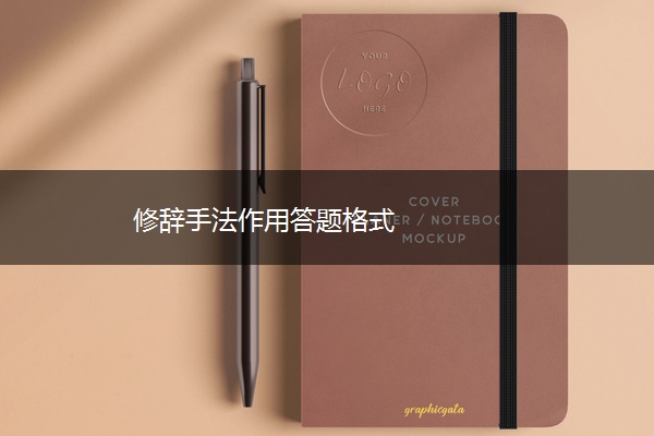 修辞手法作用答题格式