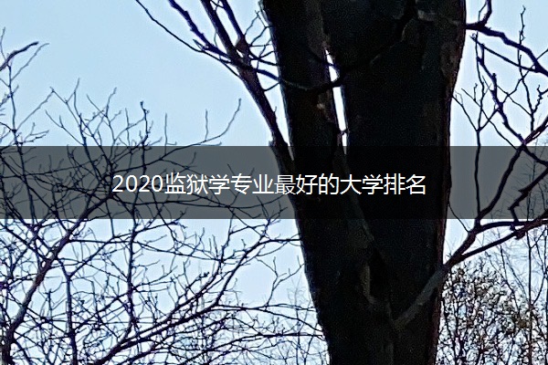 2020监狱学专业最好的大学排名