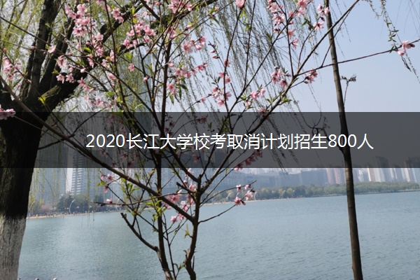 2020长江大学校考取消计划招生800人