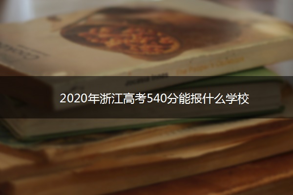 2020年浙江高考540分能报什么学校