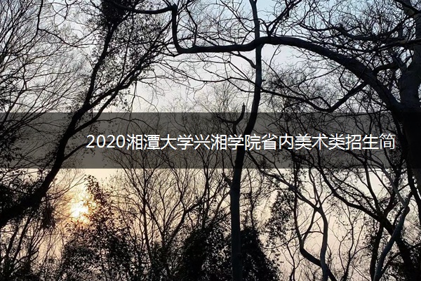 2020湘潭大学兴湘学院省内美术类招生简章