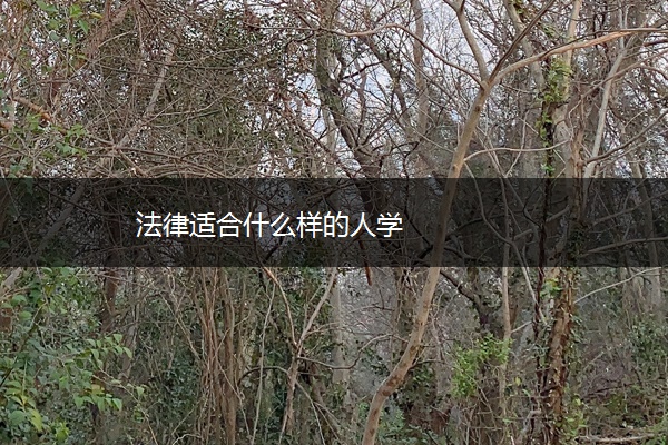 法律适合什么样的人学