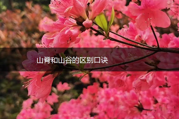 山脊和山谷的区别口诀