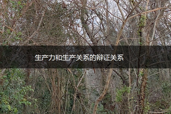 生产力和生产关系的辩证关系