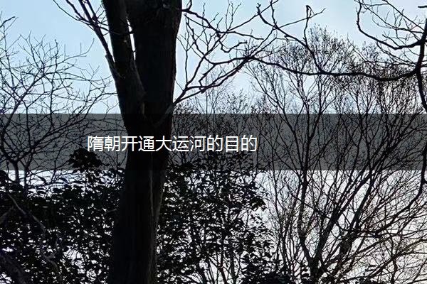 隋朝开通大运河的目的