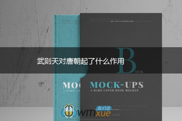 武则天对唐朝起了什么作用