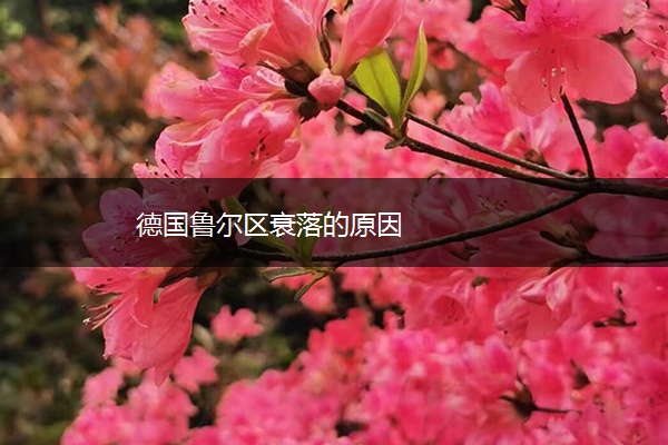 德国鲁尔区衰落的原因