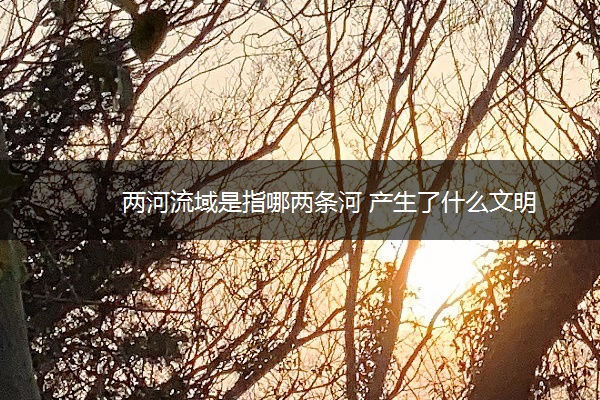 两河流域是指哪两条河 产生了什么文明