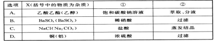 衡水金卷2020年高考模拟押题卷理综试题