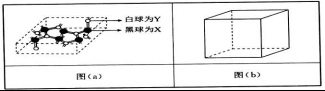 衡水金卷2020年高考模拟押题卷理综试题