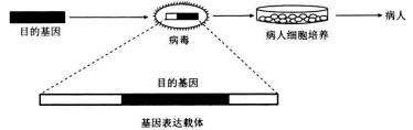 衡水金卷2020年高考模拟押题卷理综试题