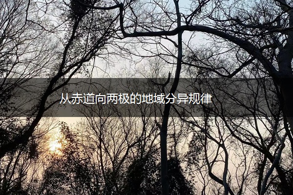 从赤道向两极的地域分异规律